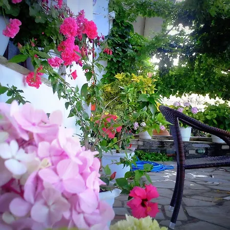 Hotell Evripides